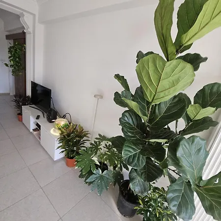 Travelers Paradise Ларнака