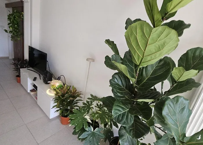 Travelers Paradise Ларнака